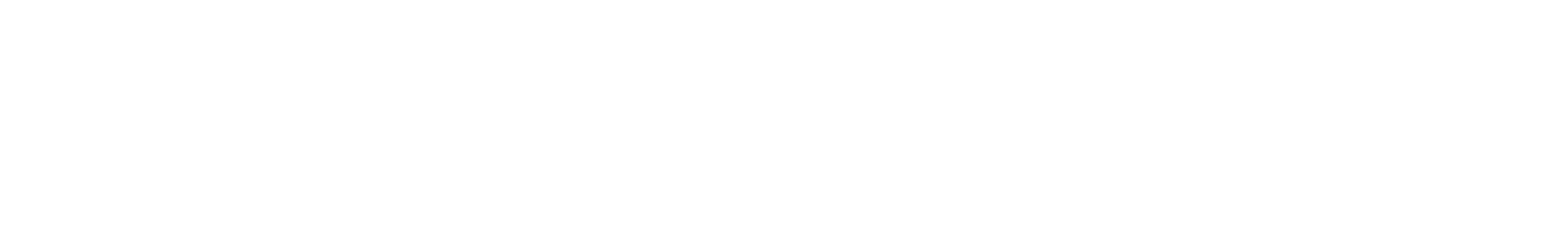Ski Bomb